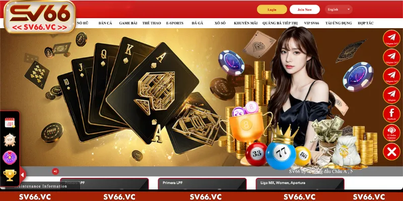 Yêu cầu kỹ thuật khi đăng ký SV66 - Anh em cần phải fill đầy đủ thông tin